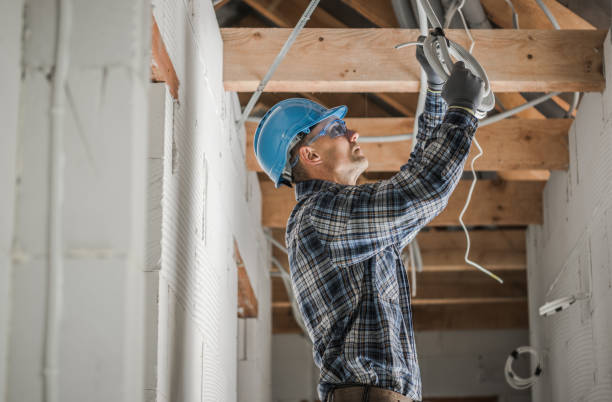 Best Licensed Electrician  in Roselle, IL