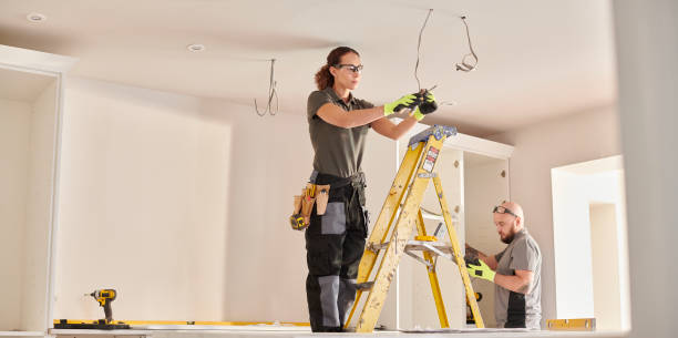 Best Electrician Near Me  in Roselle, IL