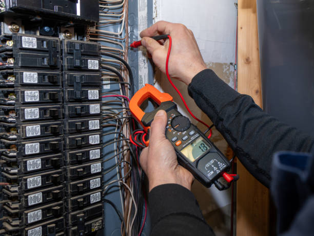 Best Home Electrical Repair  in Roselle, IL
