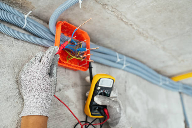 Best Electrician Near Me  in Roselle, IL