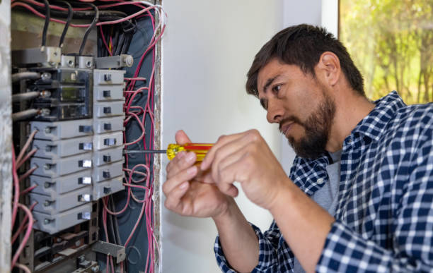 Best Residential Electrician Services  in Roselle, IL